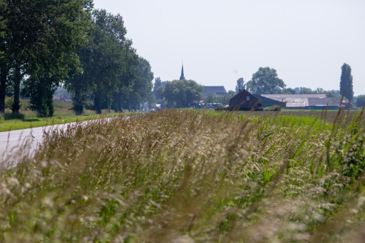 Bed and Breakfast Eglizen Hoofdplaat Esterno foto